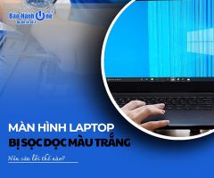 Màn hình laptop bị sọc dọc màu trắng nên sửa lỗi thế nào?