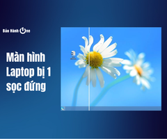 Màn hình laptop bị 1 sọc đứng: Nguyên nhân và cách xử lý hiệu quả