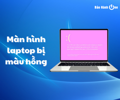 Cấp cứu màn hình laptop bị màu hồng hiệu quả chỉ với 5 phút