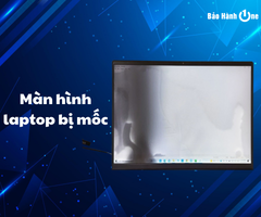 Mẹo làm sạch màn hình laptop bị mốc tại nhà hiệu quả 100%