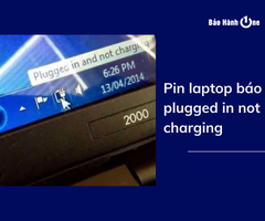 Pin laptop báo plugged in not charging? Cách xử lý hiệu quả