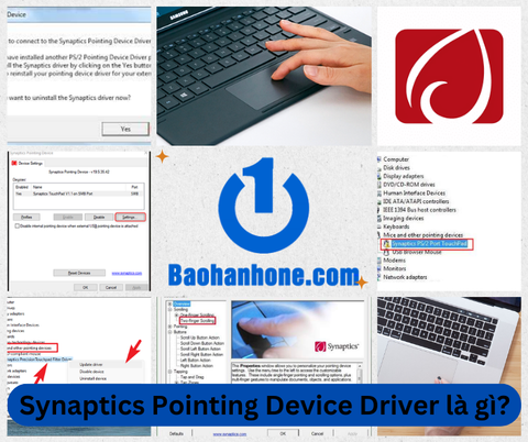 Synaptics Pointing Device Driver là gì? Những thông tin cần biết
