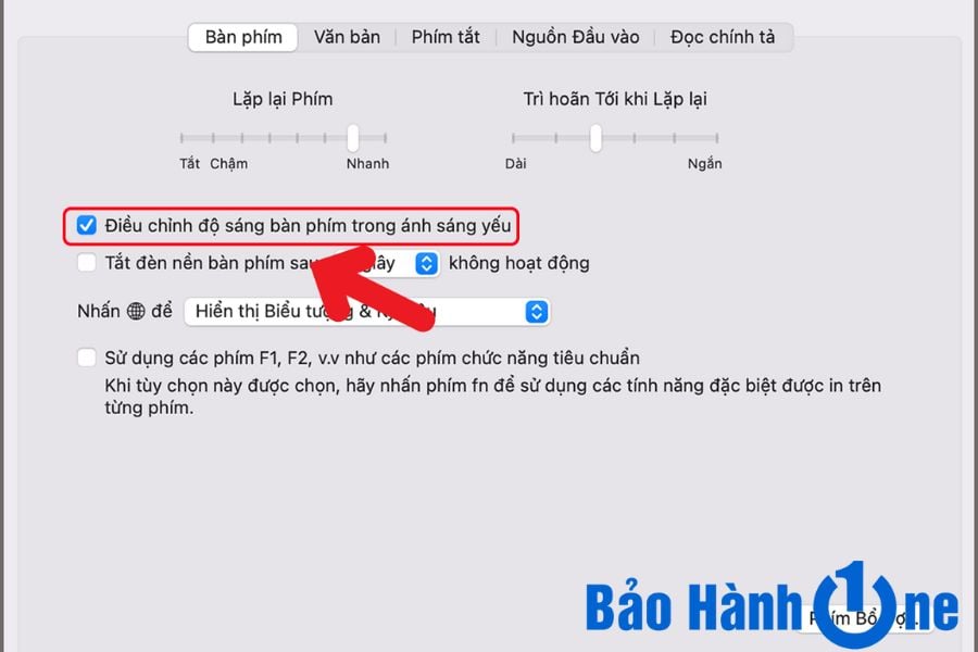 Cách cài đặt bật tắt đèn trên Macbook theo điều