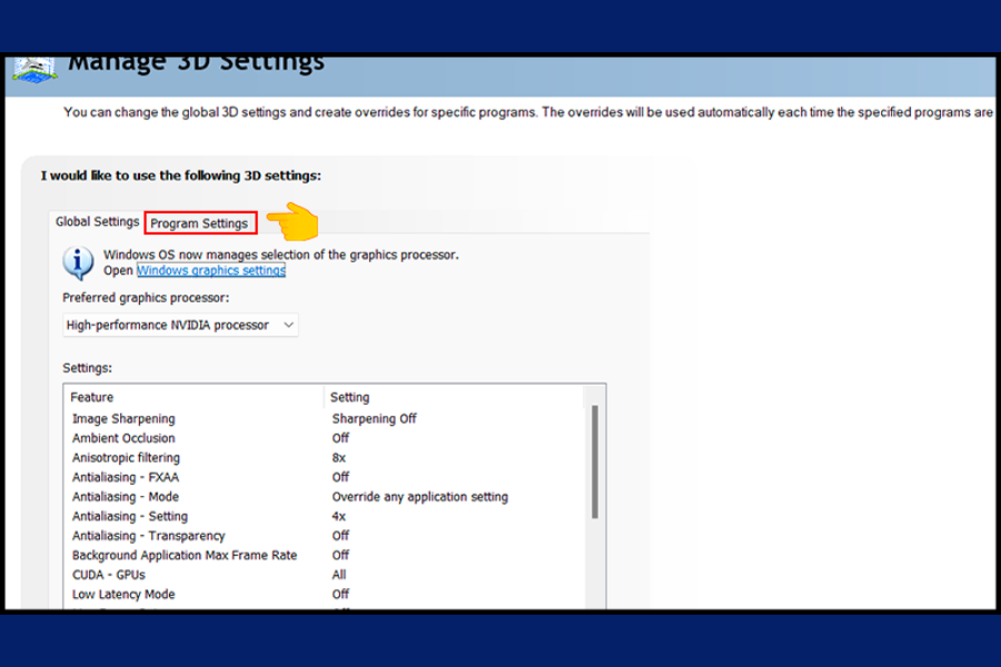 Click vào tab Program Settings