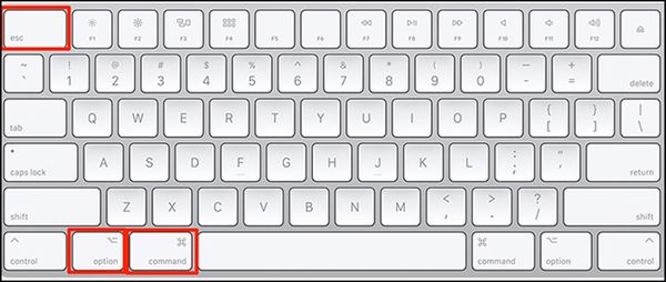 Nhấn tổ hợp 3 phím “Command” + “Option” + “ESC”