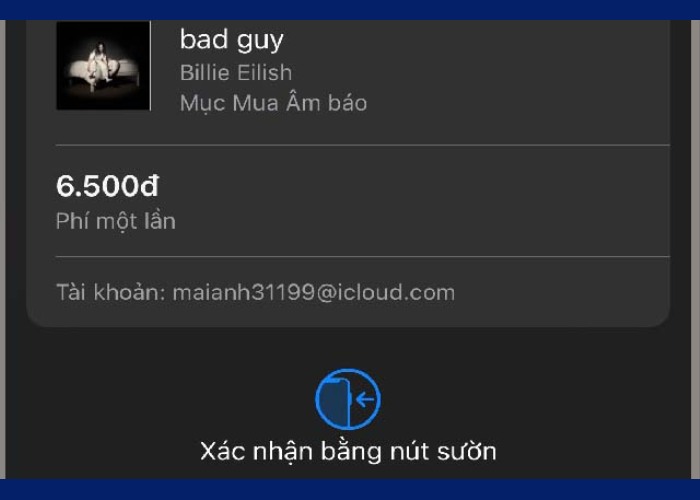 Thực hiện thanh toán phí để mua bài hát