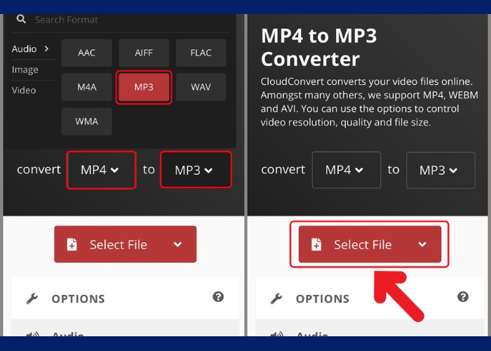 Chọn định dạng chuyển đổi là "Convert MP4 to MP3"
