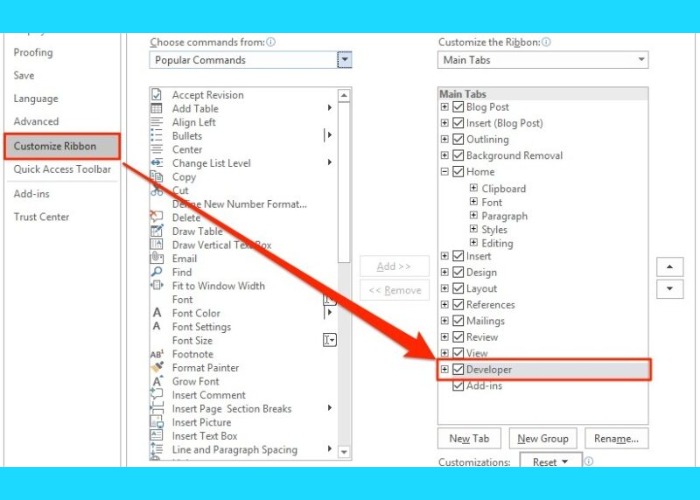Đánh dấu mục “Developer” sau đó nhấn “OK”