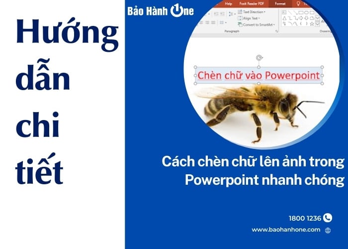 Hướng dẫn cách chèn chữ lên ảnh trong Powerpoint đơn