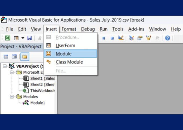 Nhấn vào "Insert" chọn "Module"