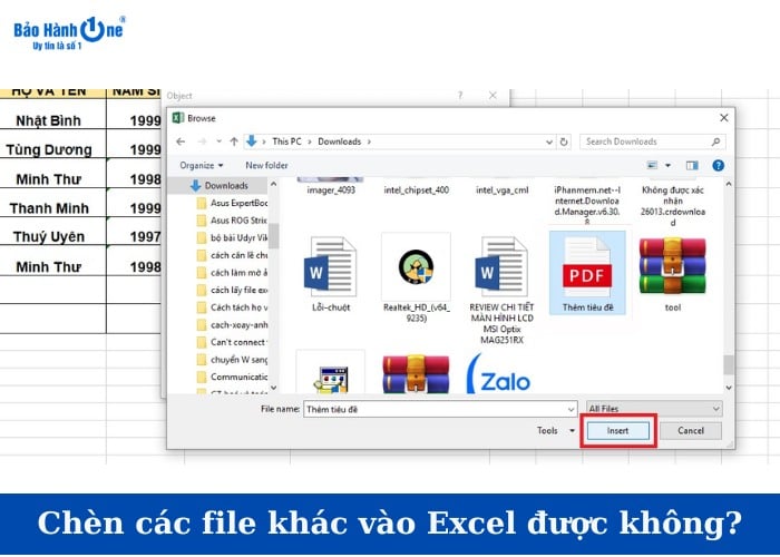Có thể chèn nhiều loại tệp tin khác nhau vào