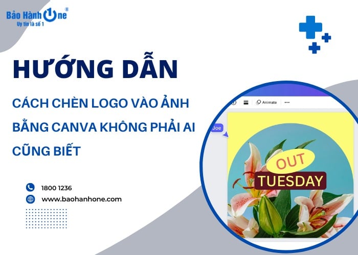 Chia sẻ cách chèn logo vào ảnh bằng Canva