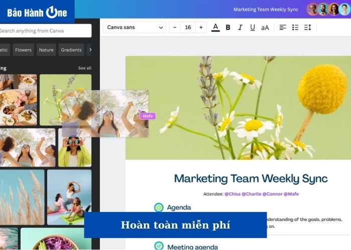 Canva cung cấp một loạt các công cụ và mẫu