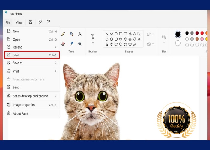 Sắp xếp logo đúng vị trí sau đó nhấn "Save"