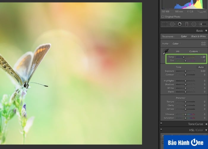 Lightroom cung cấp các công cụ để tạo ra ảnh