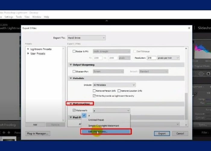 Trong mục Export kéo xuống phía dưới tìm mục Watermarking.