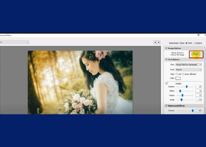 Tại mục Image Options ở góc trên bên phải chọn