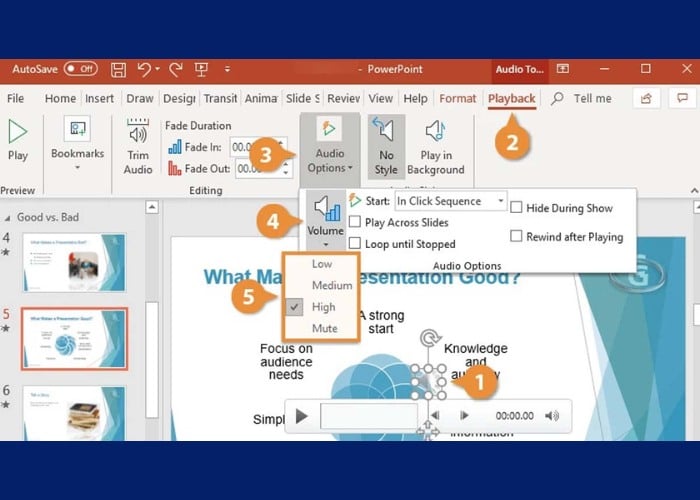 Vào tab Playback rồi nhấp chọn Audio Options