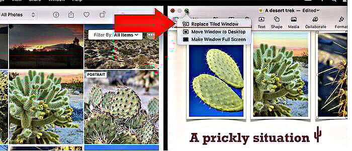 Chọn Full Screen > Replace Tiled Window