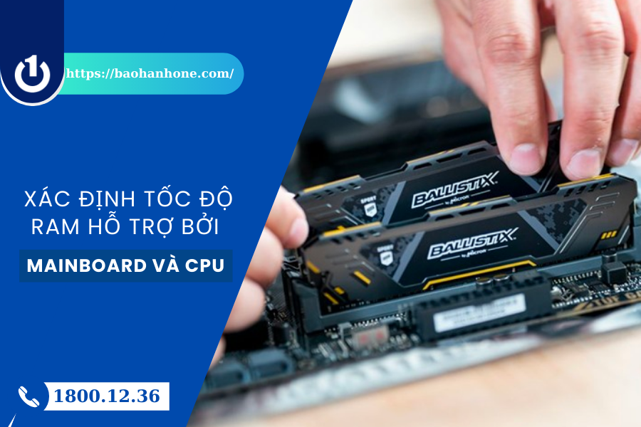 Bạn cần chú ý xác định tốc độ RAM hỗ