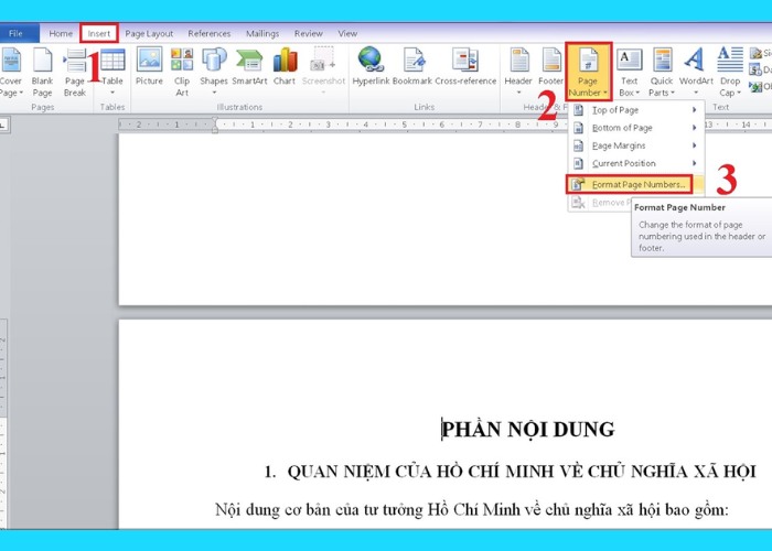 Chọn "Insert" rồi nhấn "Page Numbers" chọn "Format Page Numbers"