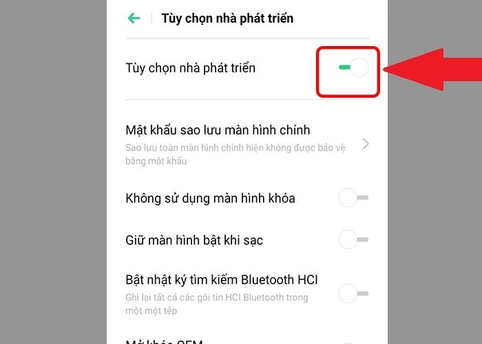 Bật tính năng "Tùy chọn nhà phát triển"