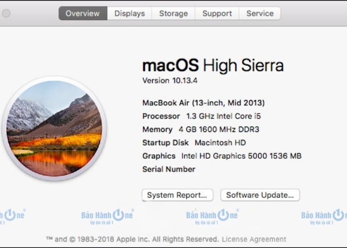 Xem thông tin macOS trong phần "Overview"