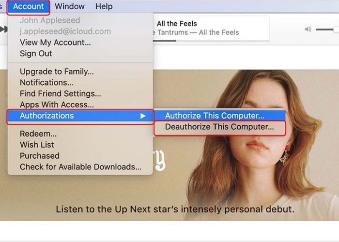 Chọn "Account" tiếp theo nhấn vào "Authorizations"
