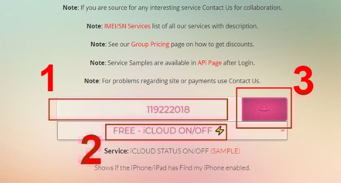 Chọn “FREE - iCLOUD ON/OFF” > nhập mã IMEI > chọn nút màu hồng