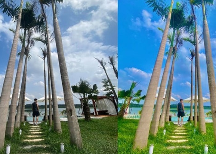 Thích hợp khi chụp cảnh thiên nhiên hoặc trong rừng