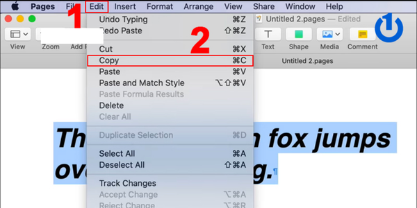 Sao chép không cần định dạng gốc