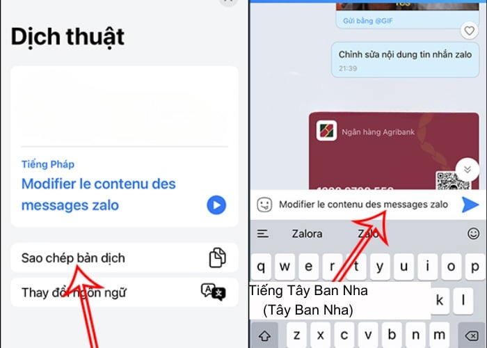 Paste tin nhắn đã dịch vào Zalo