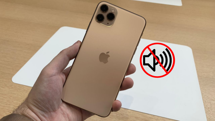 iPhone 11 Pro Max bị hỏng loa