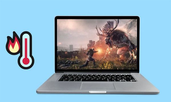 kiến chui vào laptop làm tổ