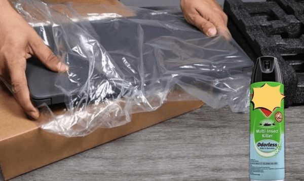 kiến chui vào laptop làm tổ