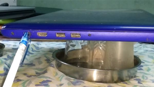 kiến chui vào laptop làm tổ