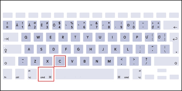 Lệnh copy trên Macbook