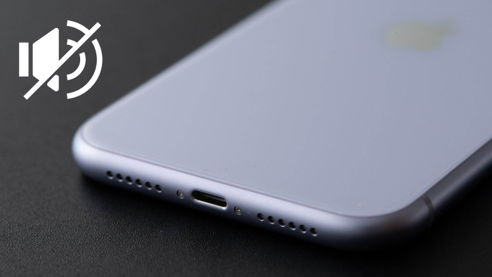 Nguyên nhân gây hỏng loa iPhone Xs