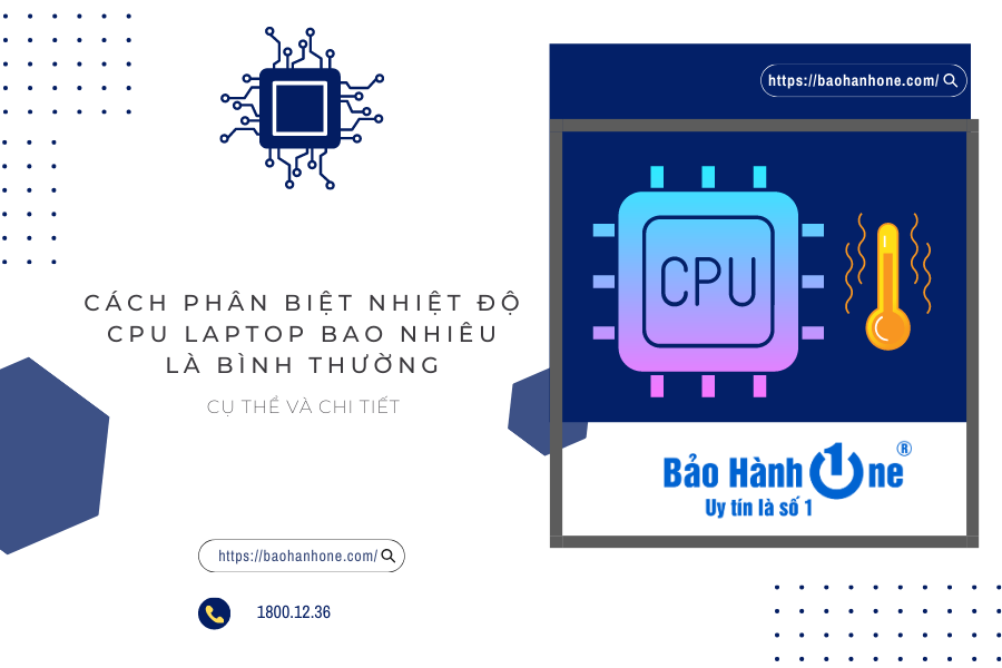 Phần này sẽ giúp bạn phân biệt xem chỉ số