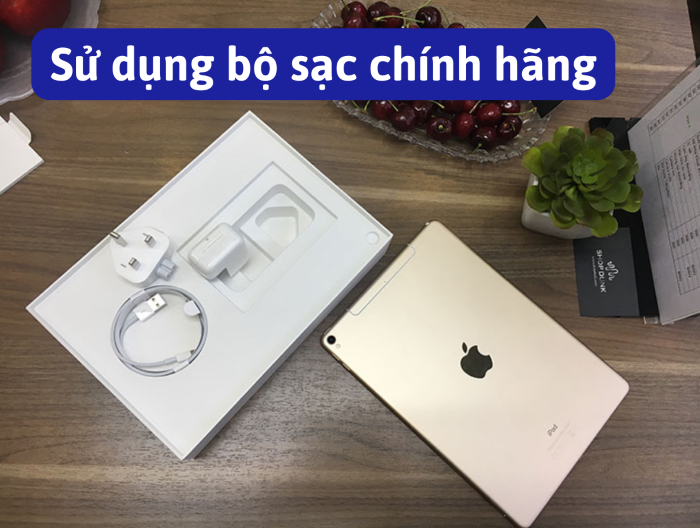 Dùng bộ sạc chính hãng