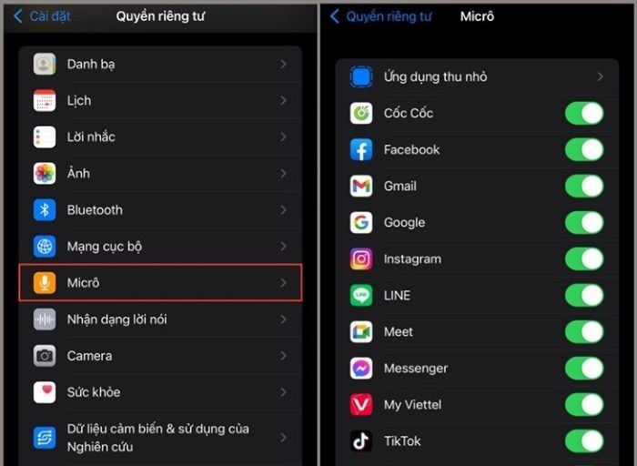 Thiết lập quyền truy cập micro