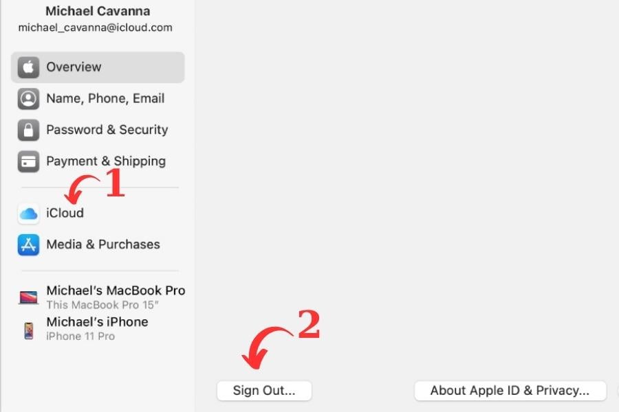 Từ "iCloud", bạn hãy chọn "Sign Out" để đăng xuất