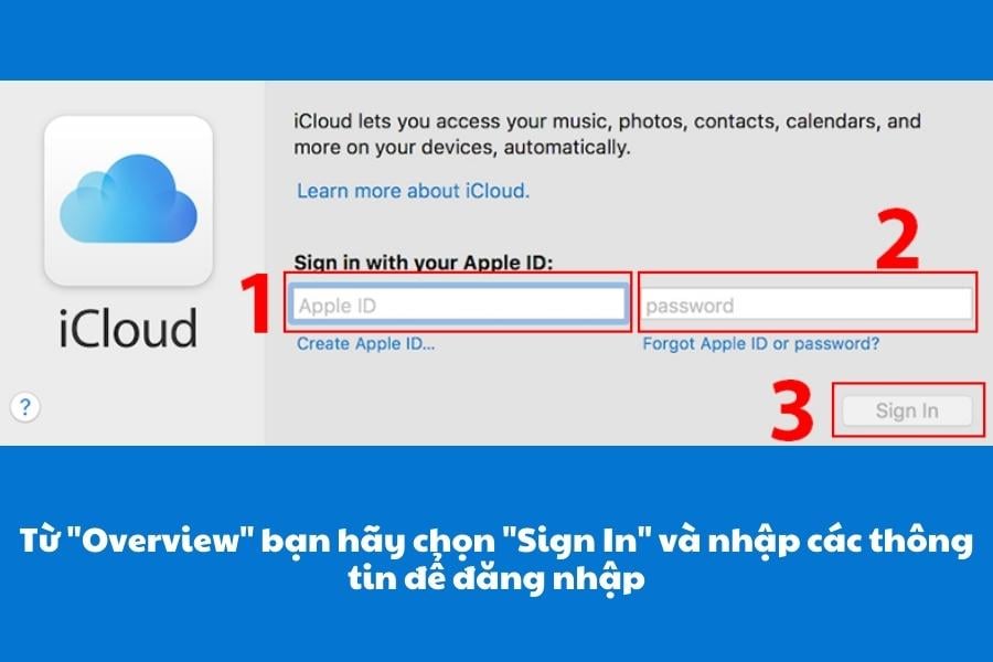 Từ phần "Overview" bạn hãy nhấn vào nút "Sign In" (Đăng nhập)