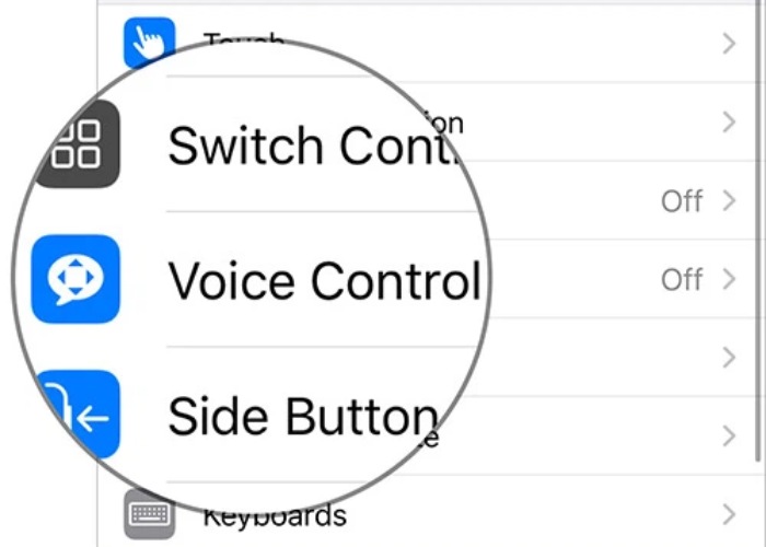 Chọn vào mục "Voice Control"