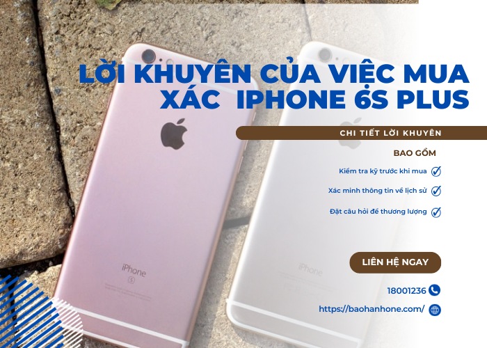 Một số lời khuyên hữu ích khi thu mua xác