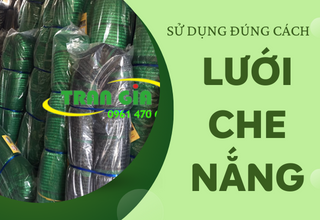 Sử dụng lưới che nắng cho lan đúng cách