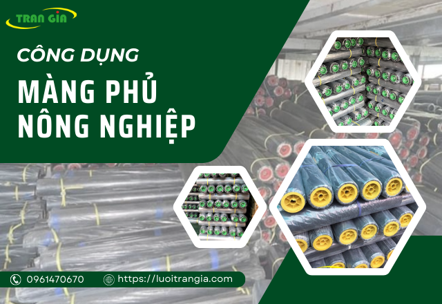 Màng phủ nông nghiệp có công dụng gì?