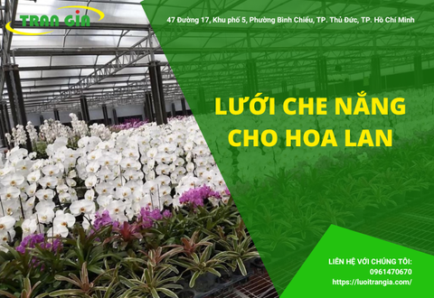 CÁCH CHỌN LƯỚI CHE NẮNG CHO LAN