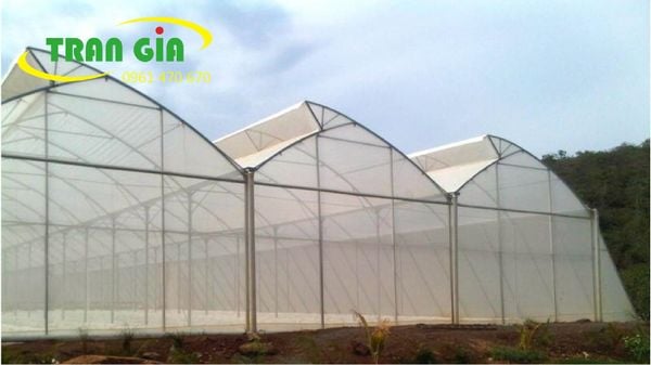 Các mô hình nhà lưới trồng rau sạch  Lưới mùng  Trần Gia  Công Ty TNHH  Sản xuất Thương mại Tổng hợp Trần Gia