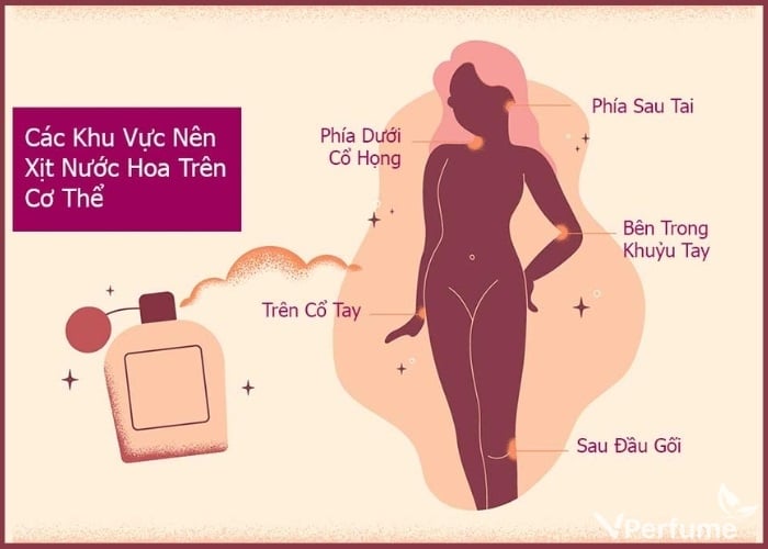 Các vị trí xịt nước hoa thơm lâu